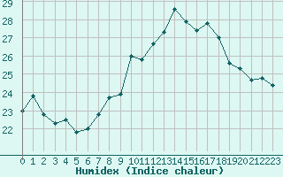 Courbe de l'humidex pour Ile du Levant (83)