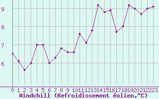 Courbe du refroidissement olien pour Cherbourg (50)