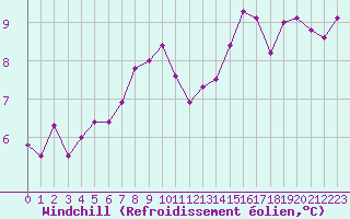 Courbe du refroidissement olien pour Ile d