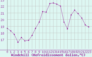 Courbe du refroidissement olien pour Plussin (42)