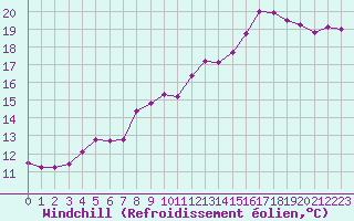 Courbe du refroidissement olien pour Ile d