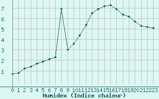 Courbe de l'humidex pour Sainte-Genevive-des-Bois (91)