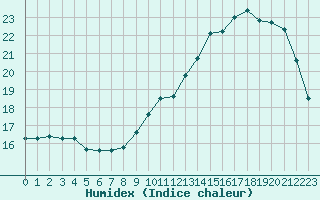 Courbe de l'humidex pour L'Huisserie (53)