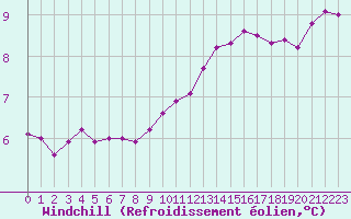 Courbe du refroidissement olien pour Muirancourt (60)