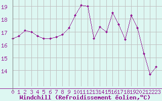 Courbe du refroidissement olien pour Cognac (16)