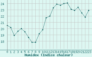 Courbe de l'humidex pour Jan (Esp)