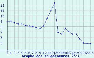 Courbe de tempratures pour Ruffiac (47)