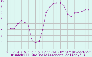 Courbe du refroidissement olien pour Izegem (Be)