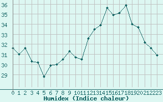 Courbe de l'humidex pour Marseille - Saint-Loup (13)