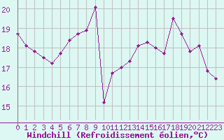 Courbe du refroidissement olien pour Cognac (16)