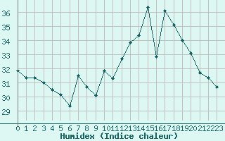 Courbe de l'humidex pour Ile Rousse (2B)