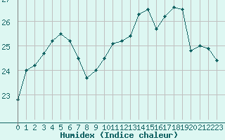 Courbe de l'humidex pour Muret (31)