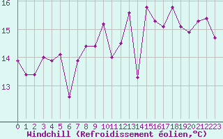 Courbe du refroidissement olien pour Le Talut - Belle-Ile (56)
