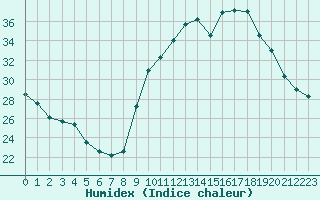 Courbe de l'humidex pour Sgur-le-Chteau (19)