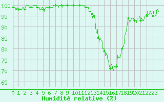 Courbe de l'humidit relative pour Pau (64)