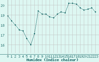 Courbe de l'humidex pour Gruissan (11)