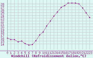 Courbe du refroidissement olien pour Cognac (16)