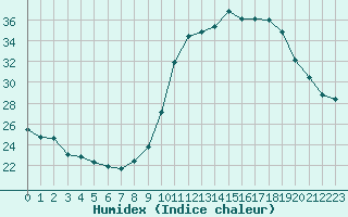 Courbe de l'humidex pour Haegen (67)