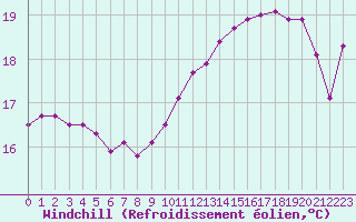 Courbe du refroidissement olien pour Dunkerque (59)