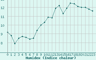 Courbe de l'humidex pour Anglars St-Flix(12)