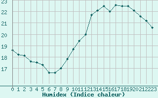 Courbe de l'humidex pour Amur (79)