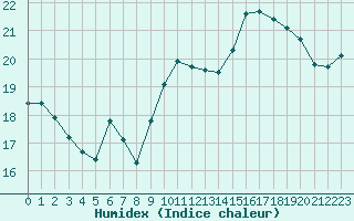 Courbe de l'humidex pour Gruissan (11)