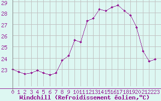 Courbe du refroidissement olien pour Ile du Levant (83)