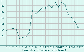 Courbe de l'humidex pour Fiscaglia Migliarino (It)