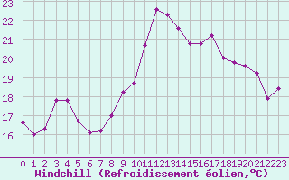 Courbe du refroidissement olien pour Valognes (50)