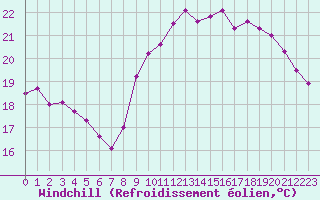 Courbe du refroidissement olien pour Rochefort Saint-Agnant (17)