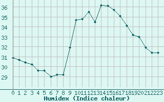 Courbe de l'humidex pour Porquerolles (83)