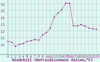 Courbe du refroidissement olien pour Chailles (41)