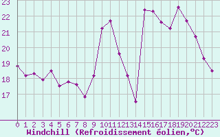 Courbe du refroidissement olien pour Ajaccio - Campo dell