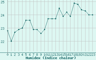 Courbe de l'humidex pour Saint-Ciers-sur-Gironde (33)