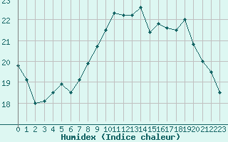 Courbe de l'humidex pour Brest (29)