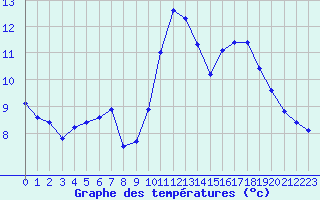 Courbe de tempratures pour Rochefort Saint-Agnant (17)
