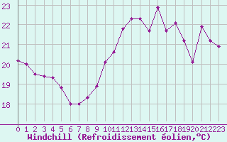 Courbe du refroidissement olien pour Six-Fours (83)