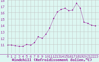 Courbe du refroidissement olien pour Pointe du Raz (29)