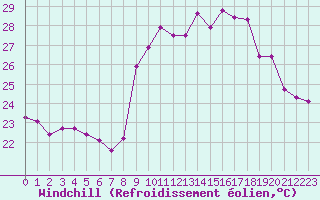 Courbe du refroidissement olien pour Ile du Levant (83)