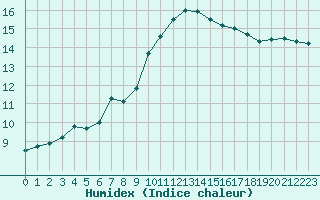 Courbe de l'humidex pour Vannes-Sn (56)