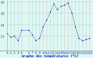 Courbe de tempratures pour Ile Rousse (2B)