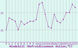 Courbe du refroidissement olien pour Brest (29)