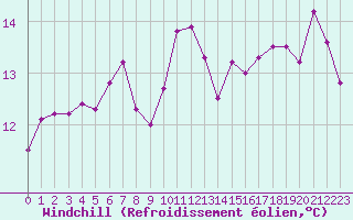 Courbe du refroidissement olien pour Angers-Marc (49)