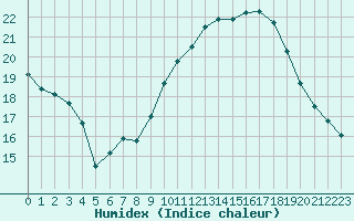 Courbe de l'humidex pour Carpentras (84)