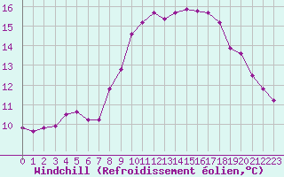 Courbe du refroidissement olien pour Cap Gris-Nez (62)