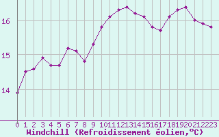 Courbe du refroidissement olien pour Dunkerque (59)