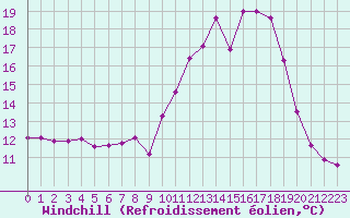 Courbe du refroidissement olien pour Angers-Beaucouz (49)