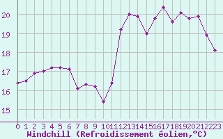 Courbe du refroidissement olien pour Le Talut - Belle-Ile (56)