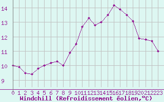 Courbe du refroidissement olien pour Rennes (35)