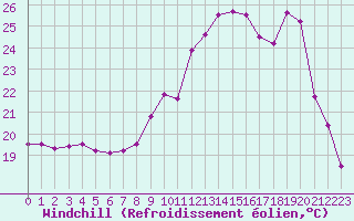 Courbe du refroidissement olien pour Angers-Marc (49)